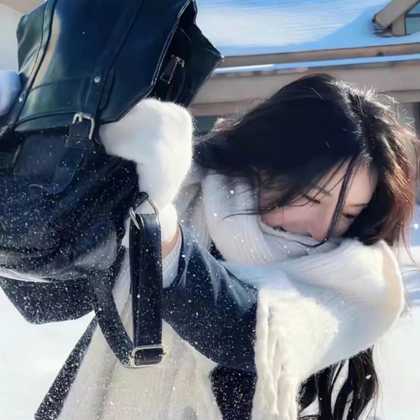 掟上今日子的备忘录 封面